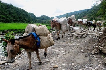 Panos South Asia’s research on Globalisation and Labour in the subcontinent subcontinent subcontinent