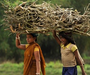 AIDS Reports : Investigating an Epidemic